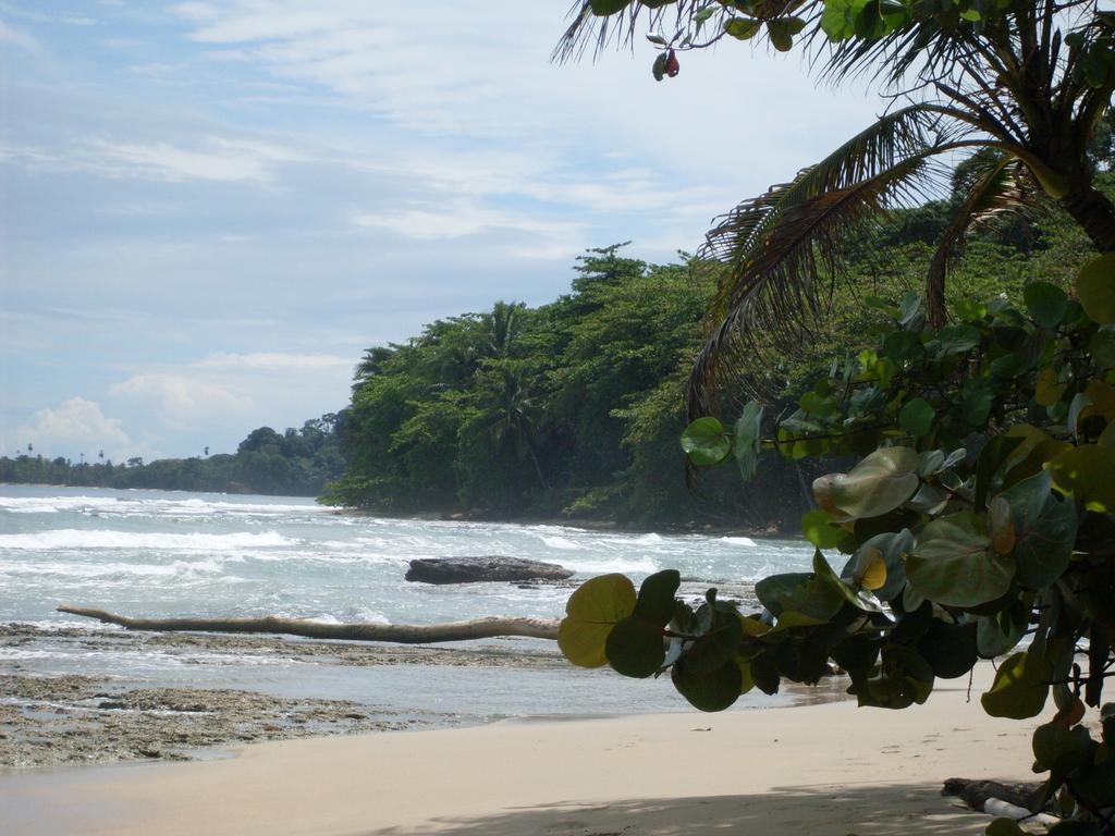 Hotel Casitas Mar Y Luz Puerto Viejo de Talamanca Экстерьер фото