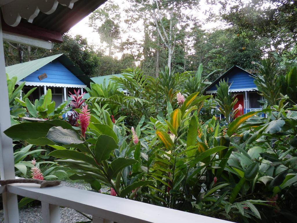 Hotel Casitas Mar Y Luz Puerto Viejo de Talamanca Экстерьер фото